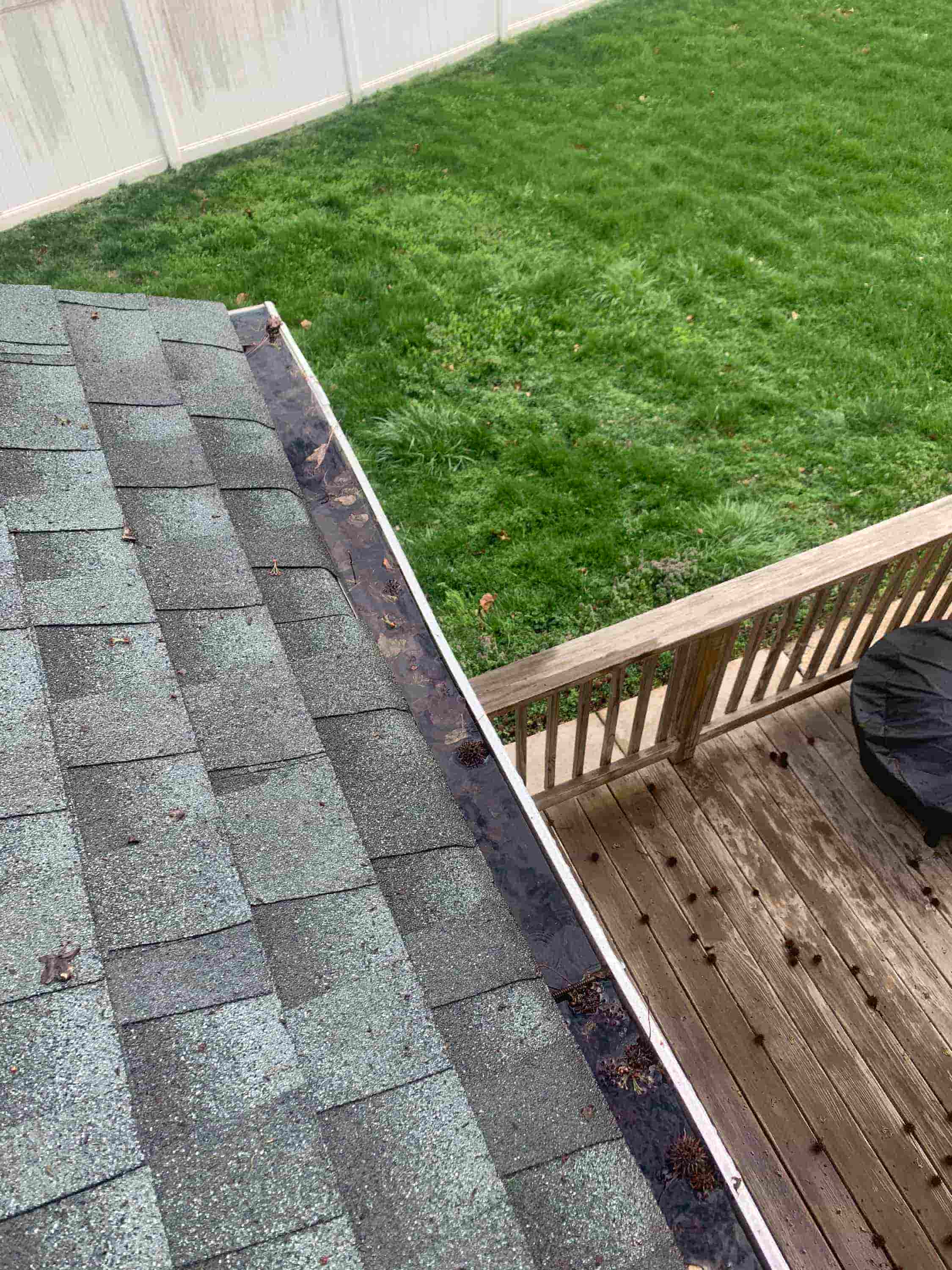 gutter cleaning with gutter guards