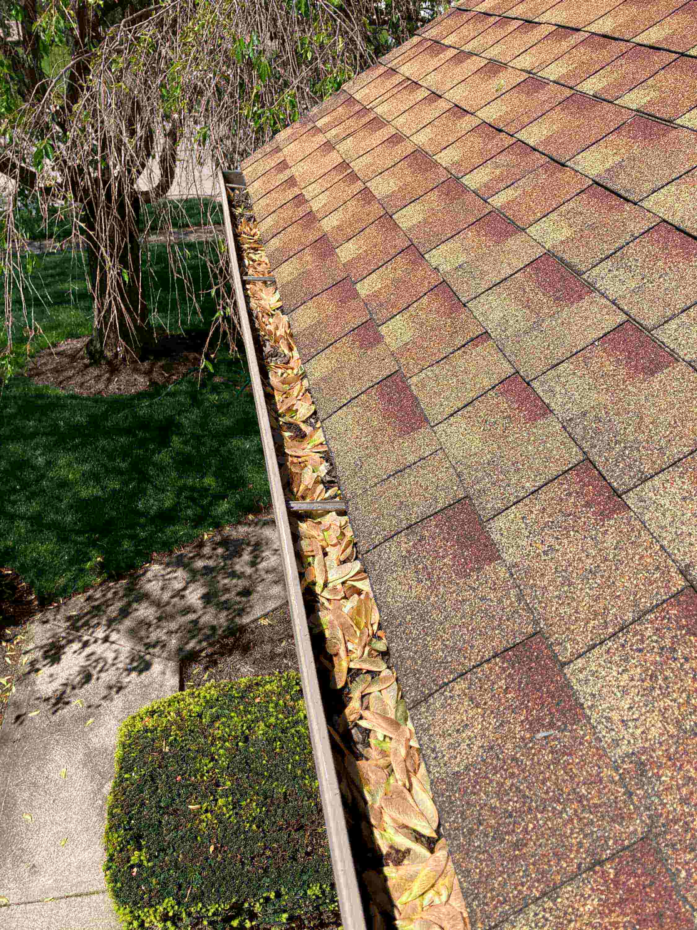gutter cleaning sprayer
