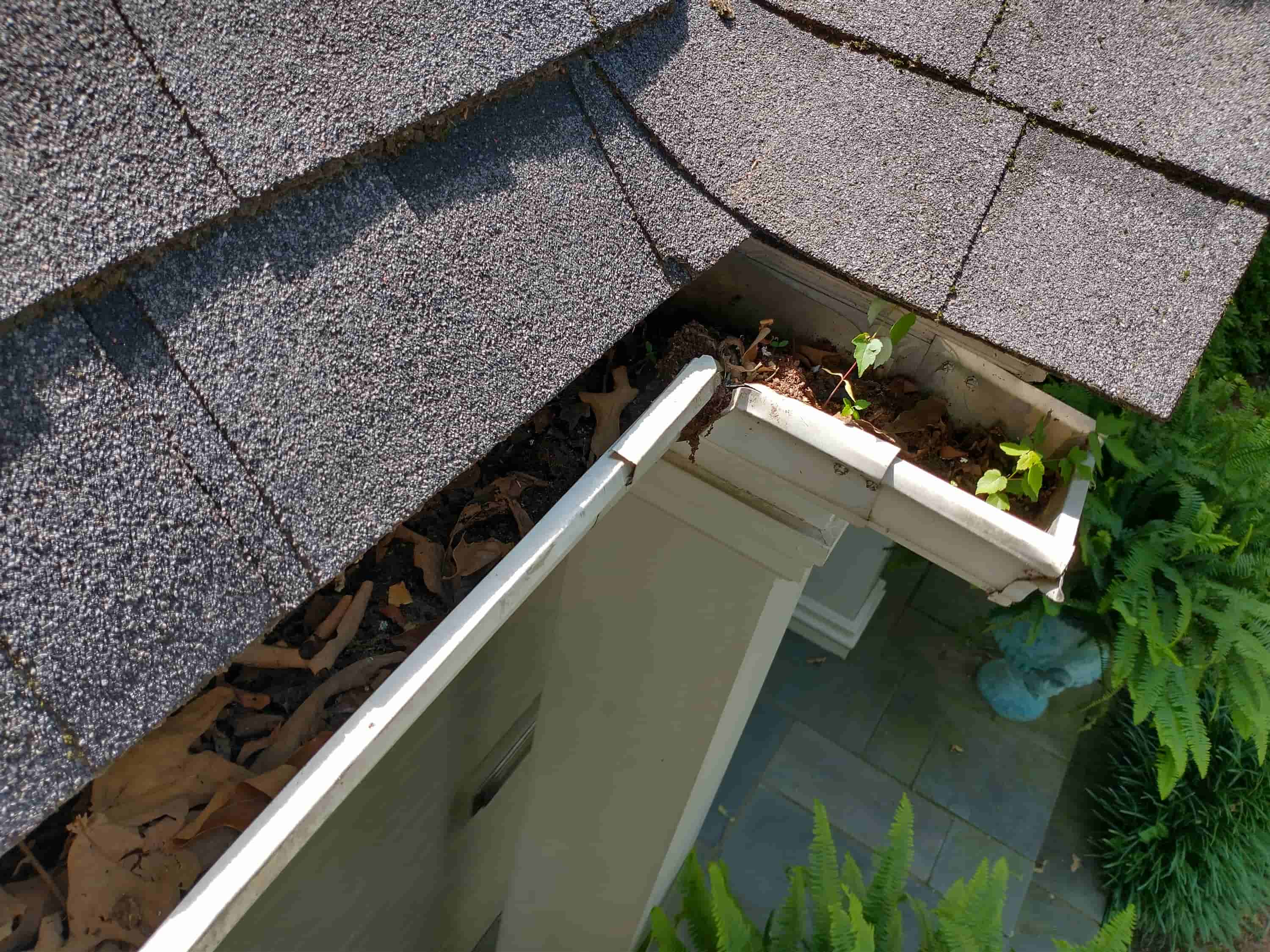 cleaning leaves from gutters