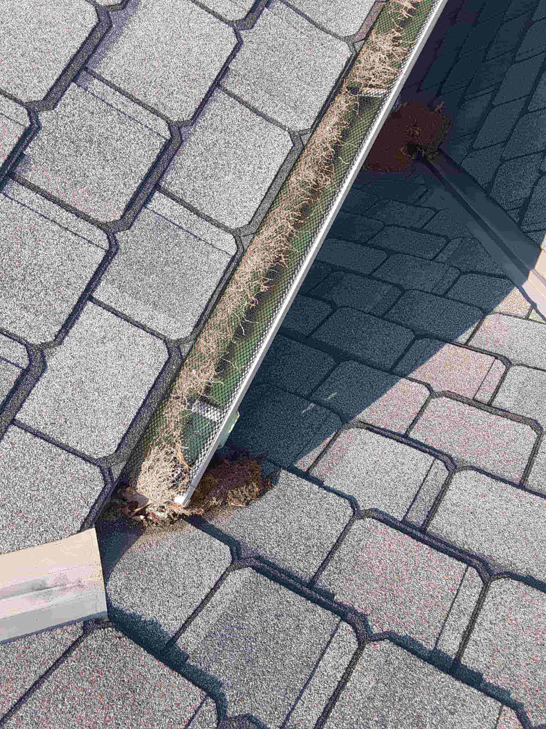 gutter roof cleaning