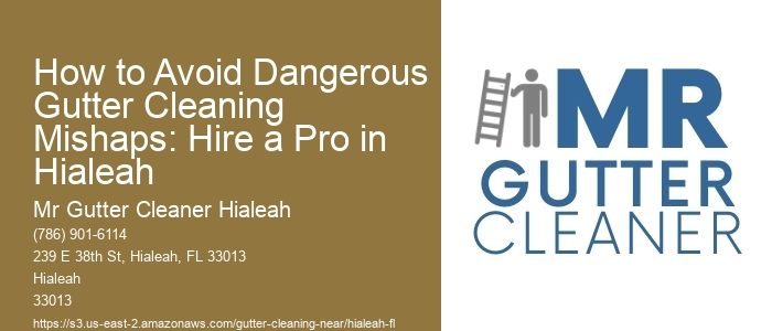 How to Avoid Dangerous Gutter Cleaning Mishaps: Hire a Pro in Hialeah
