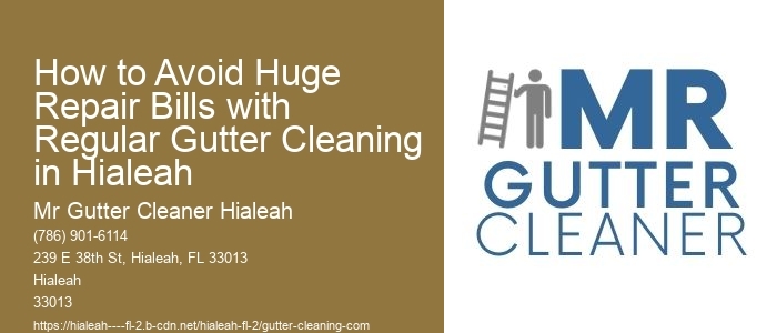 How to Avoid Huge Repair Bills with Regular Gutter Cleaning in Hialeah