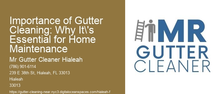 Importance of Gutter Cleaning: Why It's Essential for Home Maintenance