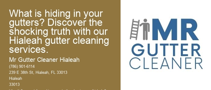 What is hiding in your gutters? Discover the shocking truth with our Hialeah gutter cleaning services.