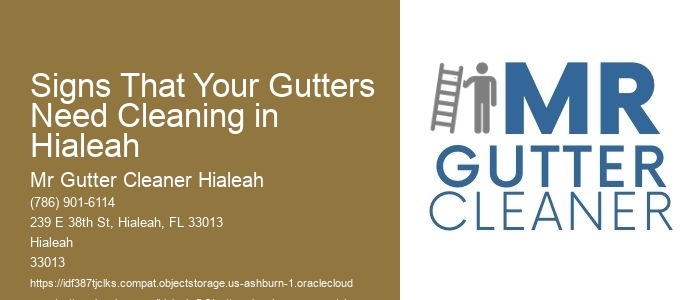 Signs That Your Gutters Need Cleaning in Hialeah