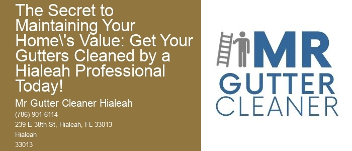 The Secret to Maintaining Your Home's Value: Get Your Gutters Cleaned by a Hialeah Professional Today!