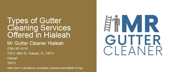 Types of Gutter Cleaning Services Offered in Hialeah