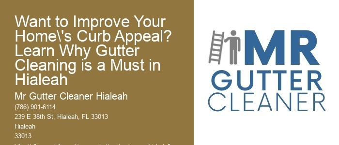 Want to Improve Your Home's Curb Appeal? Learn Why Gutter Cleaning is a Must in Hialeah