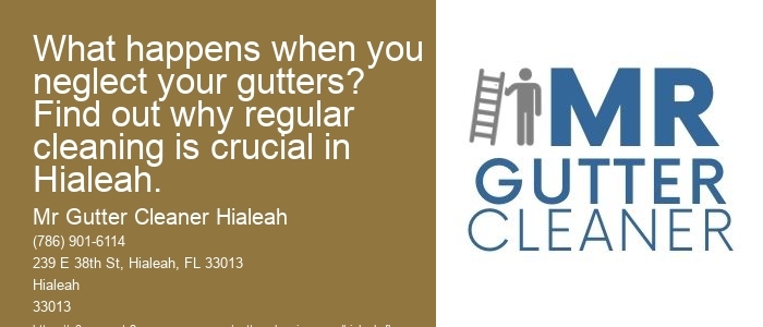 What happens when you neglect your gutters? Find out why regular cleaning is crucial in Hialeah.