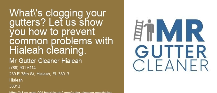 What's clogging your gutters? Let us show you how to prevent common problems with Hialeah cleaning.