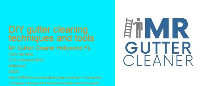 DIY gutter cleaning techniques and tools 