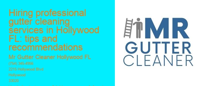 Hiring professional gutter cleaning services in Hollywood FL: tips and recommendations