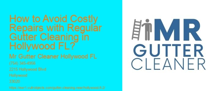 How to Avoid Costly Repairs with Regular Gutter Cleaning in Hollywood FL?