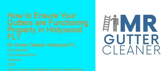 How to Ensure Your Gutters are Functioning Properly in Hollywood FL?