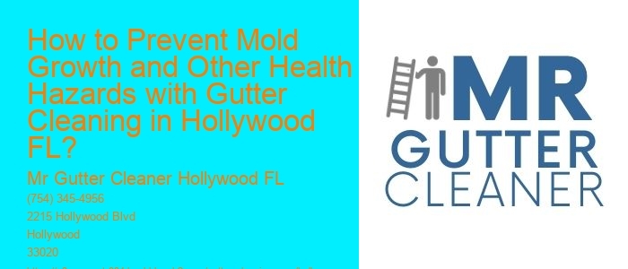 How to Prevent Mold Growth and Other Health Hazards with Gutter Cleaning in Hollywood FL?