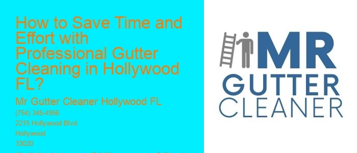 How to Save Time and Effort with Professional Gutter Cleaning in Hollywood FL?
