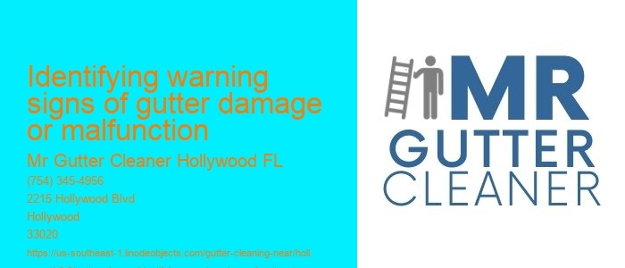 Identifying warning signs of gutter damage or malfunction 