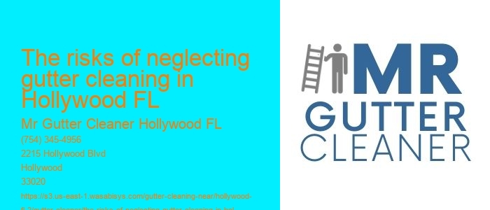 The risks of neglecting gutter cleaning in Hollywood FL