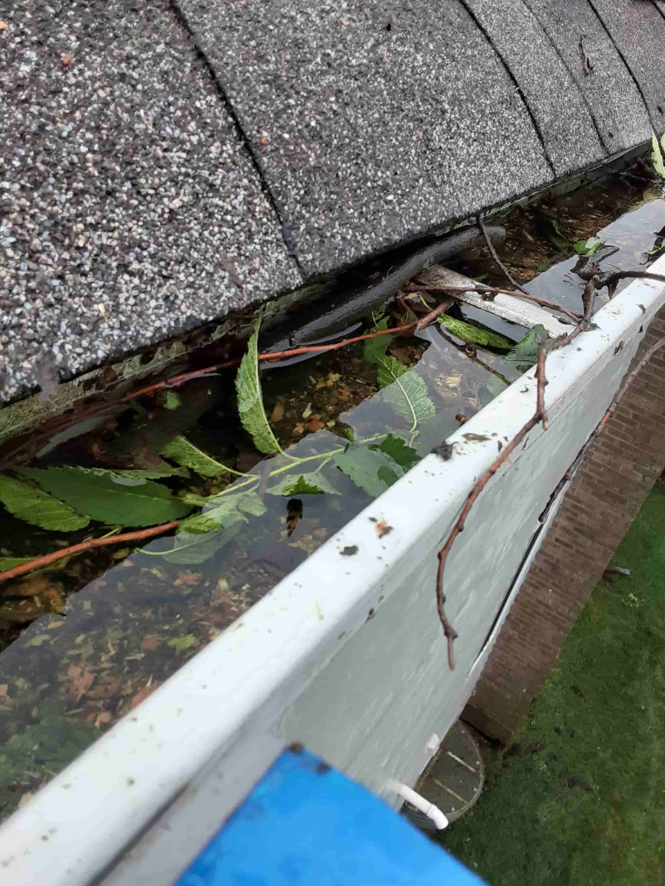 cleaning gutters with gutter guards