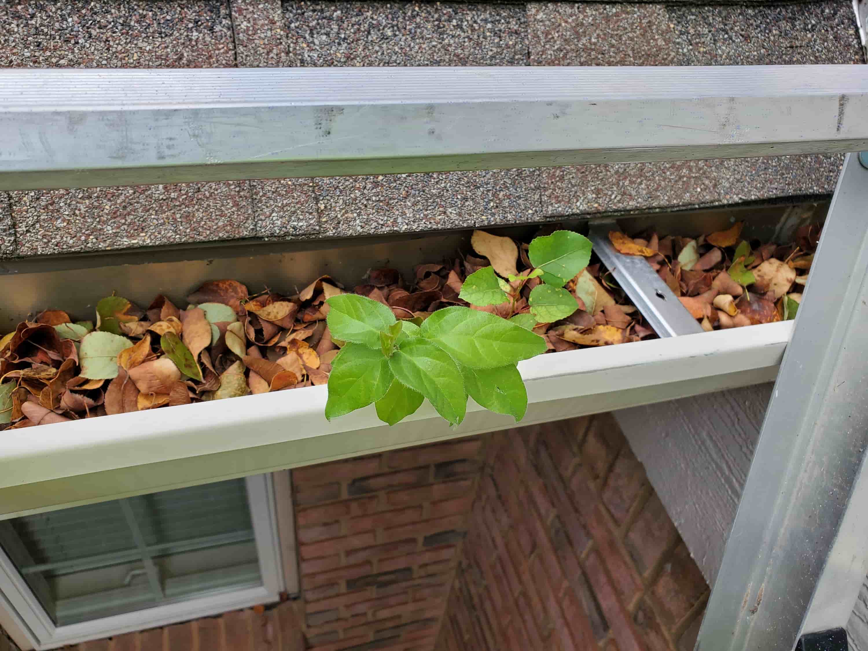 how to clean gutters yourself
