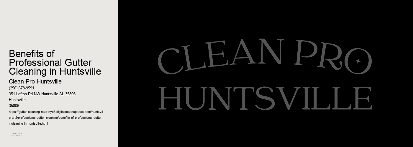 Benefits of Professional Gutter Cleaning in Huntsville 