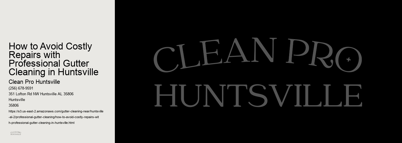 How to Avoid Costly Repairs with Professional Gutter Cleaning in Huntsville 