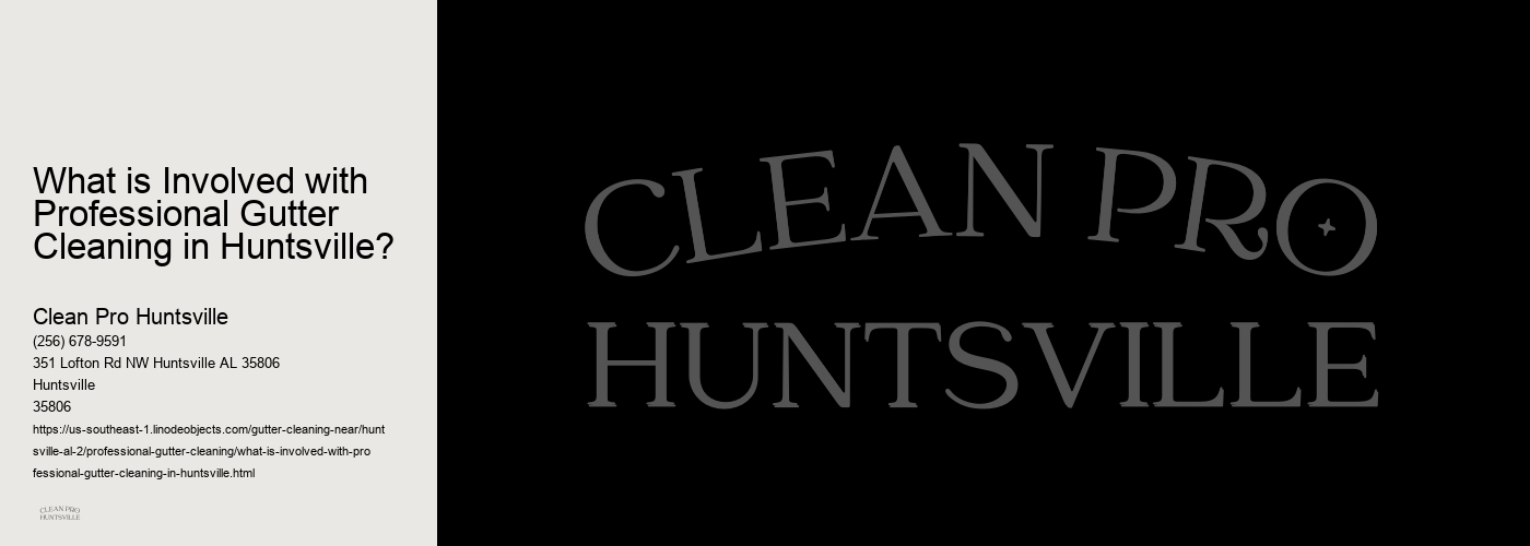 What is Involved with Professional Gutter Cleaning in Huntsville?  