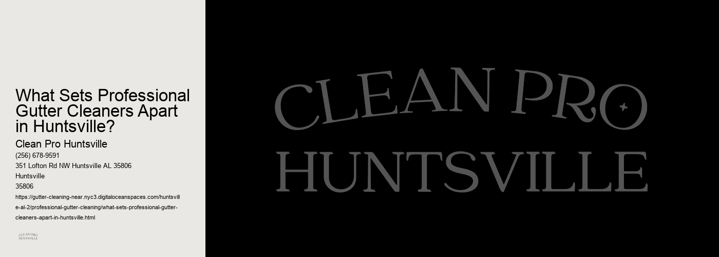What Sets Professional Gutter Cleaners Apart in Huntsville?   