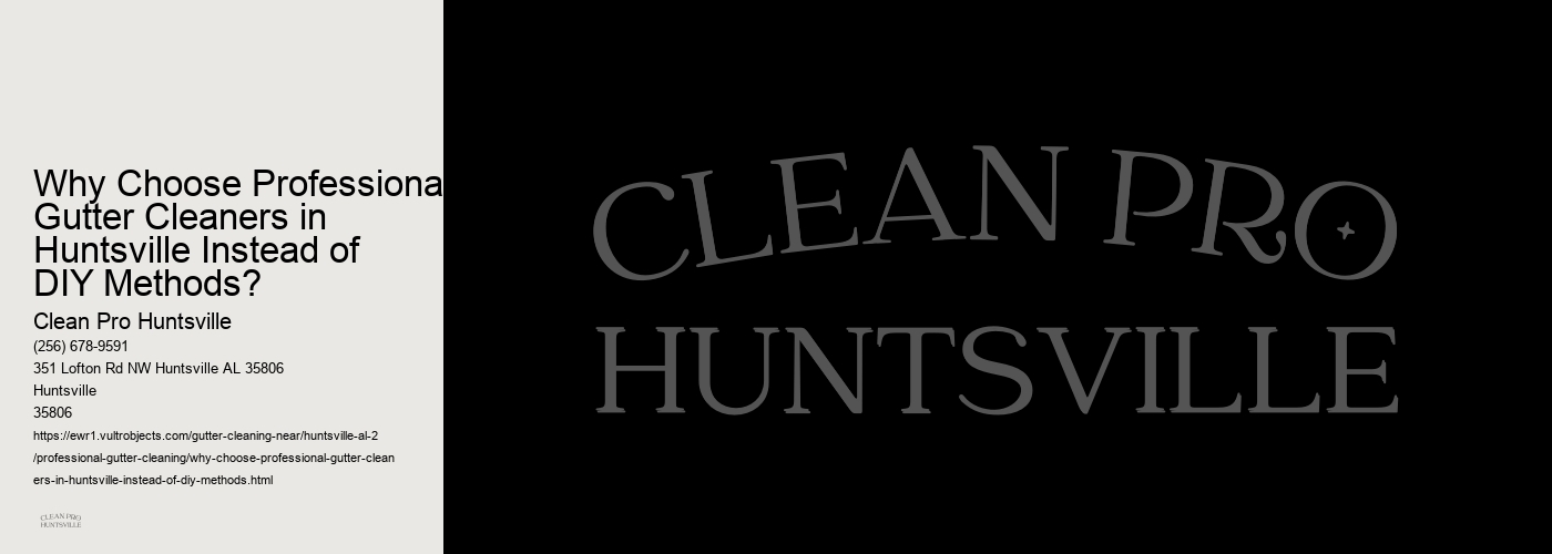 Why Choose Professional Gutter Cleaners in Huntsville Instead of DIY Methods?