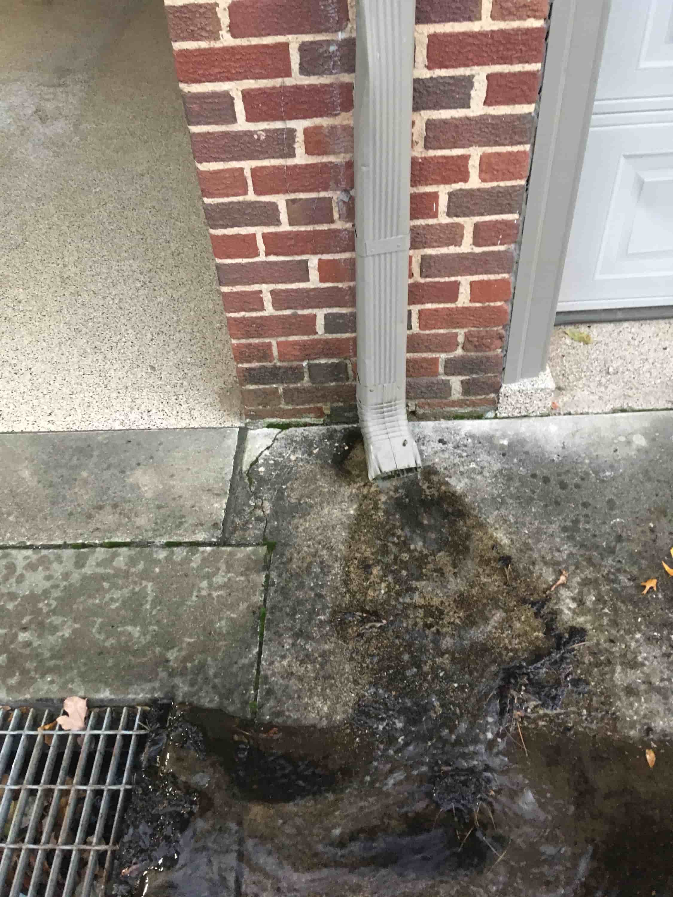 why clean out gutters