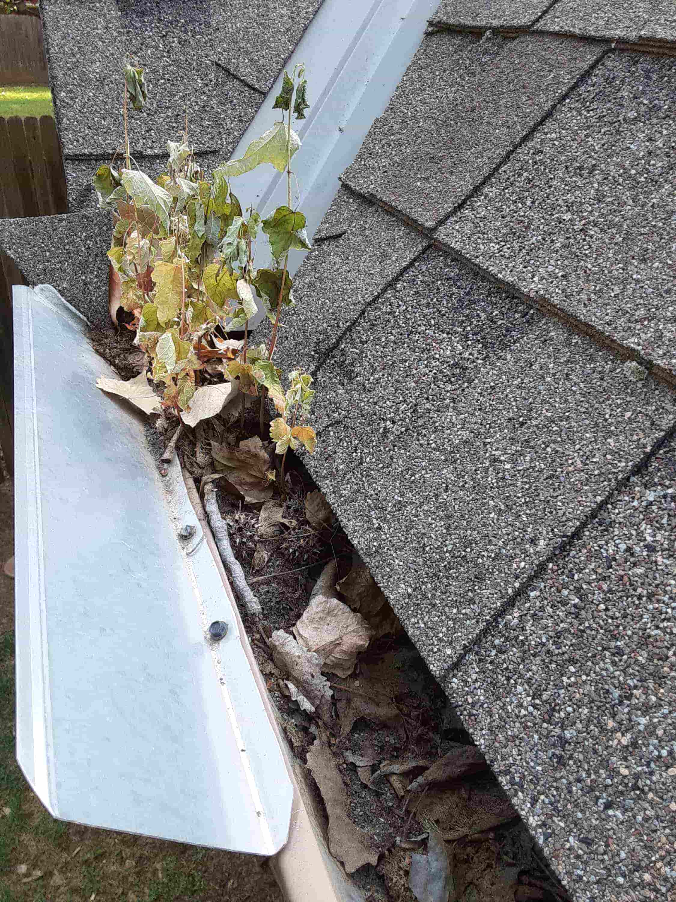 repair hole in gutter