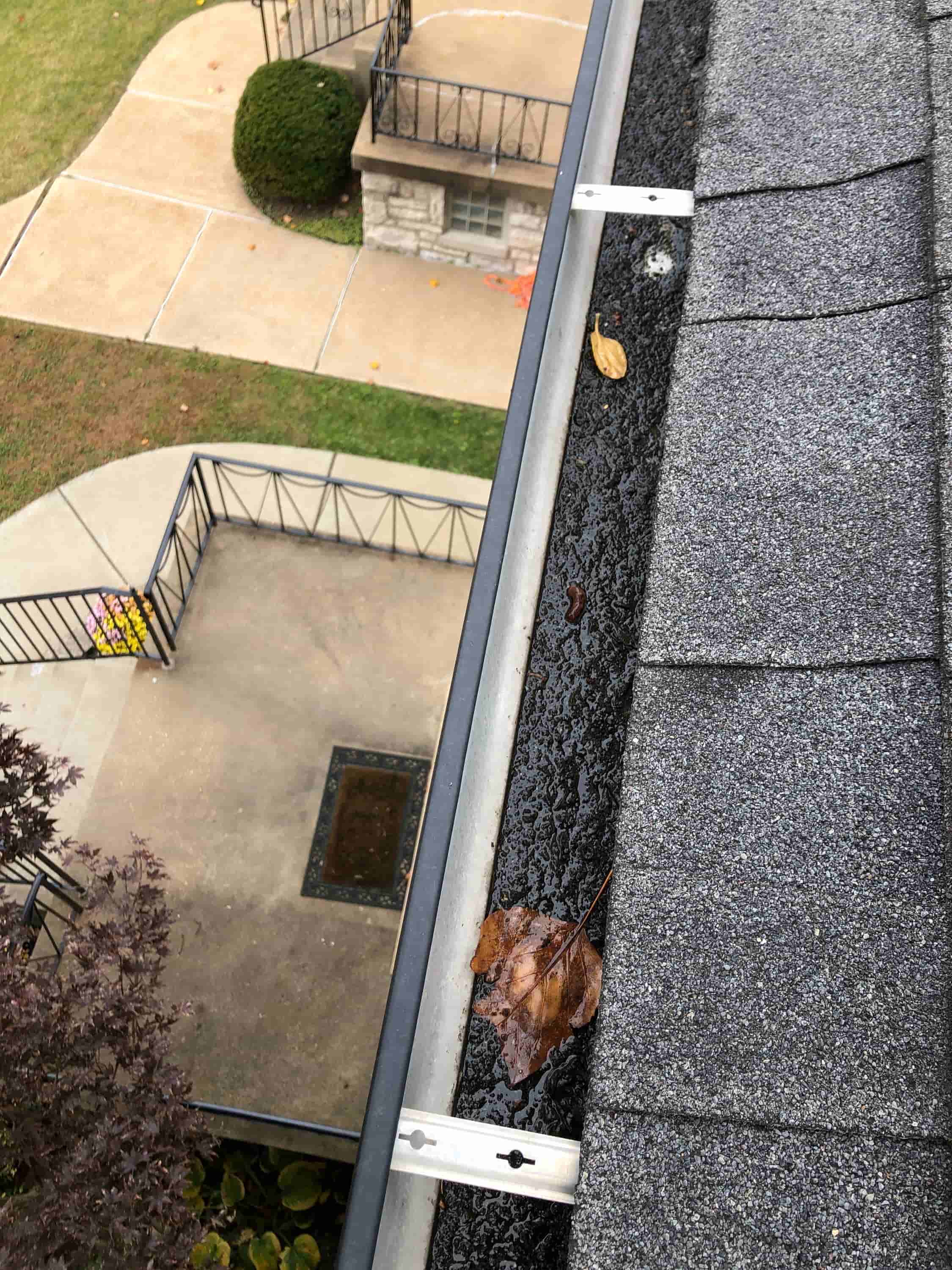 tall tree gutter cleaning
