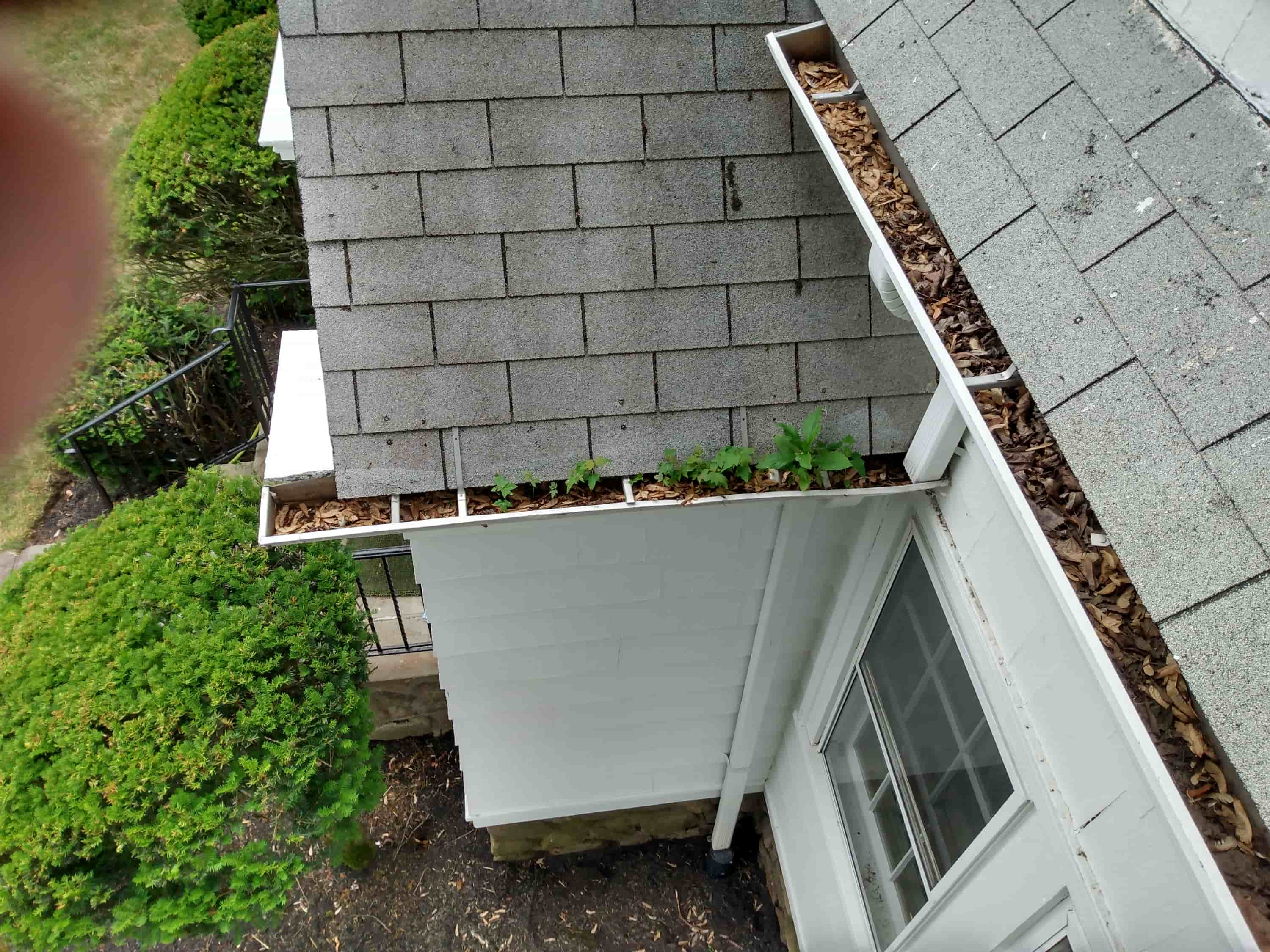 how much to clean out gutters