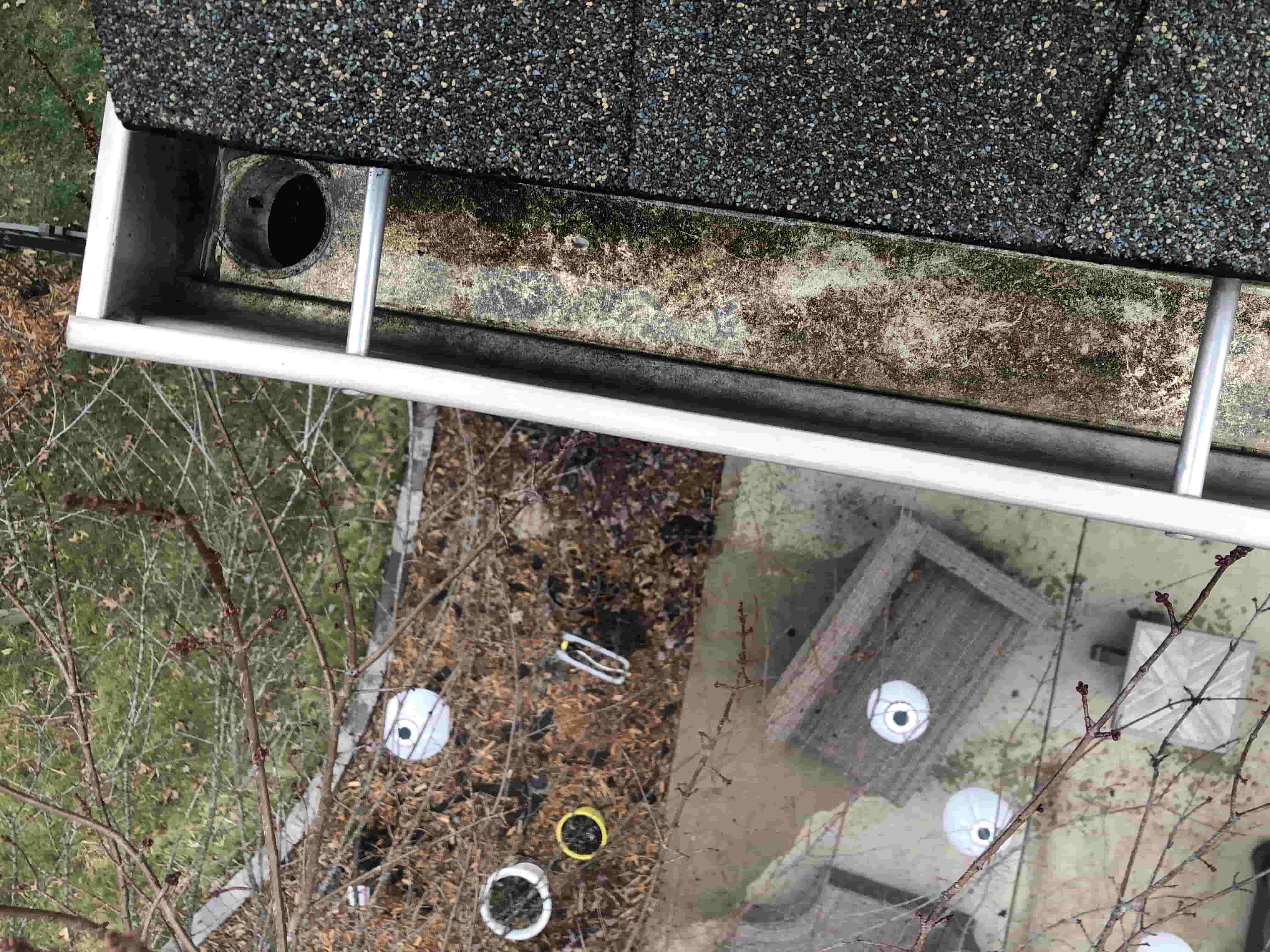 gutter cleaning from ground level