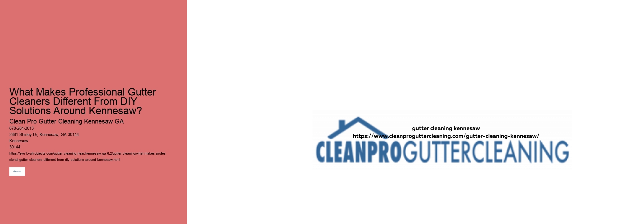 What Makes Professional Gutter Cleaners Different From DIY Solutions Around Kennesaw?