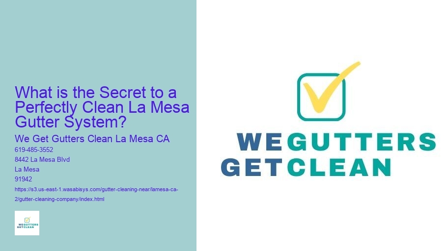 What is the Secret to a Perfectly Clean La Mesa Gutter System?
