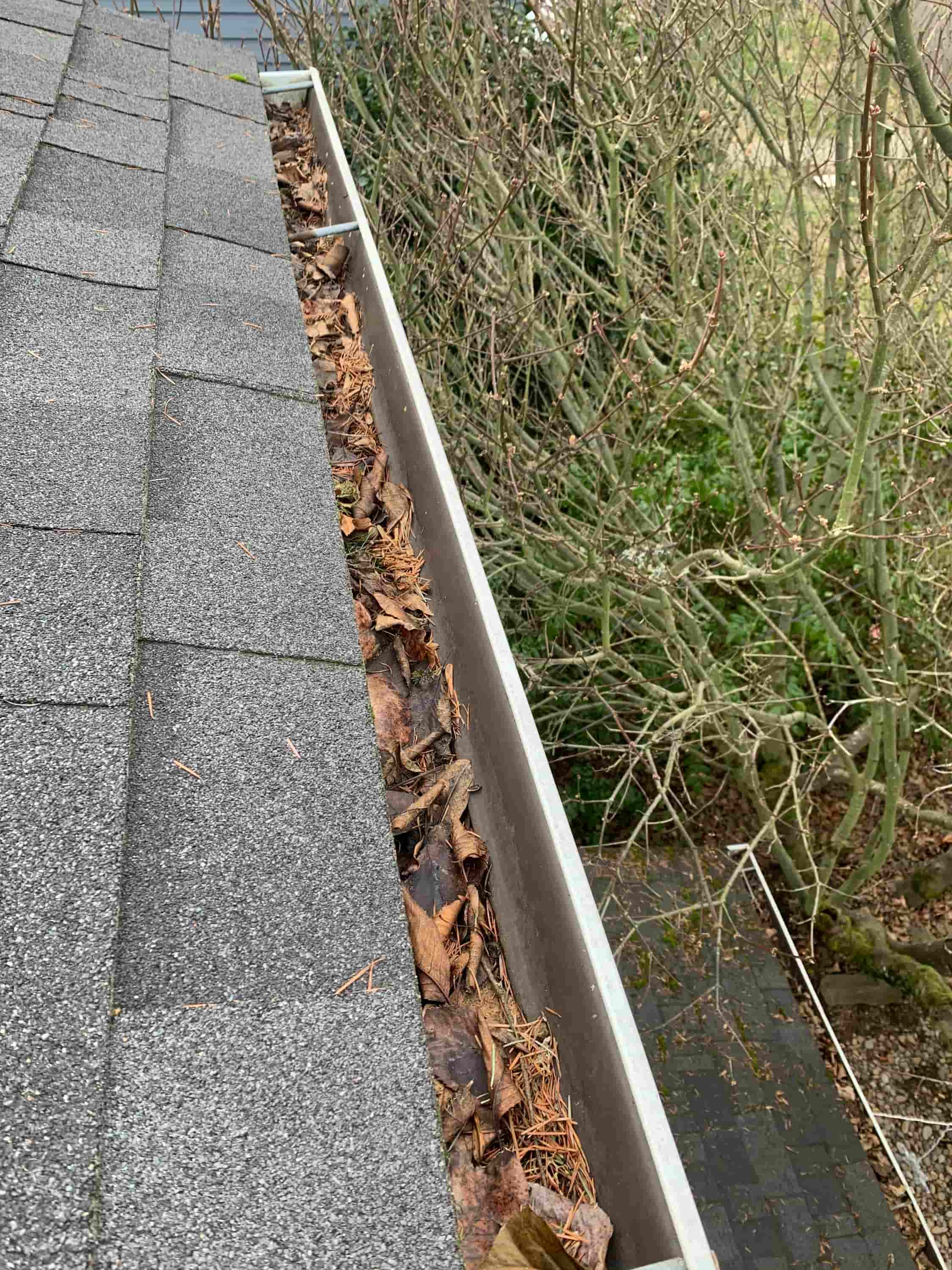 leaves in gutters problems