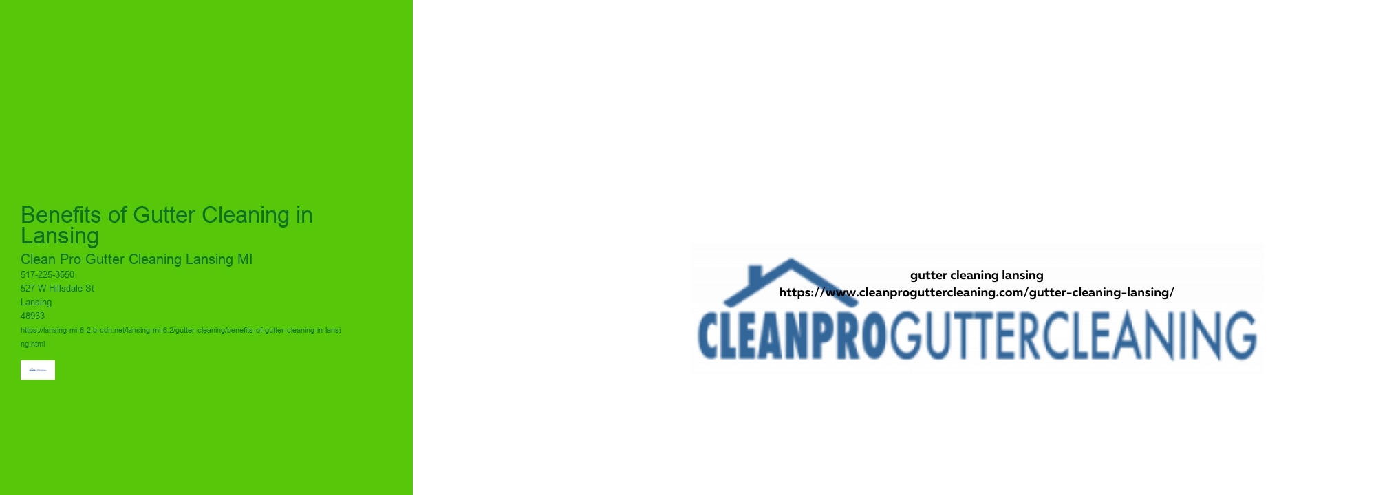 Benefits of Gutter Cleaning in Lansing