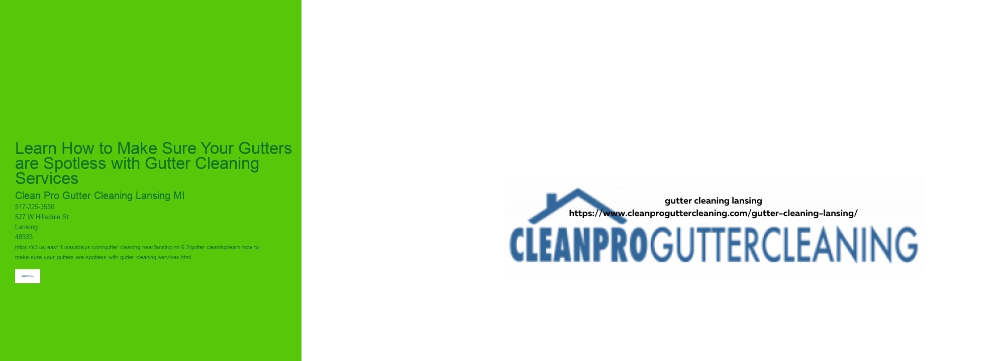 Learn How to Make Sure Your Gutters are Spotless with Gutter Cleaning Services 