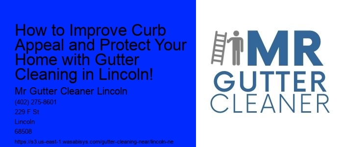 How to Improve Curb Appeal and Protect Your Home with Gutter Cleaning in Lincoln!