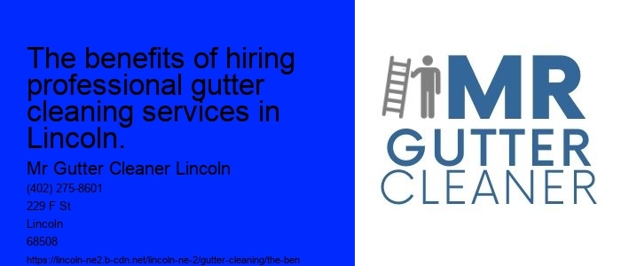 The benefits of hiring professional gutter cleaning services in Lincoln.
