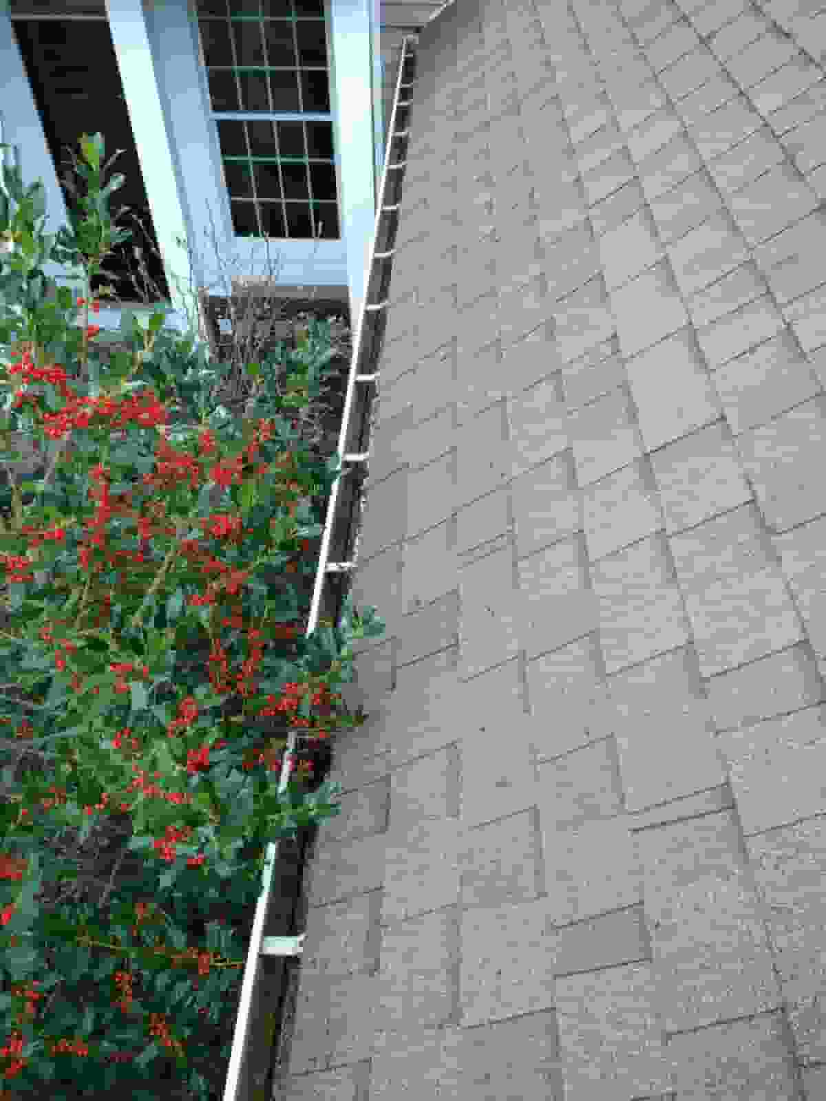 how to start gutter cleaning business