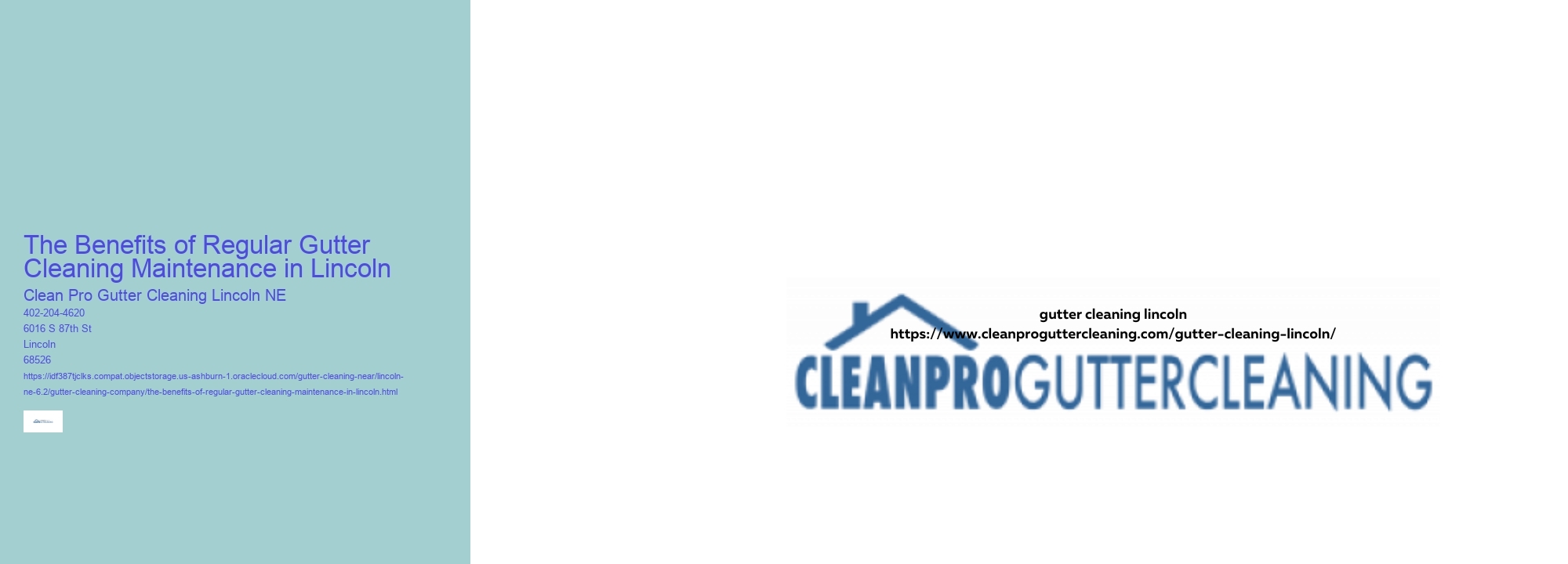 Gutter Cleaning Service The Woodlands Tx