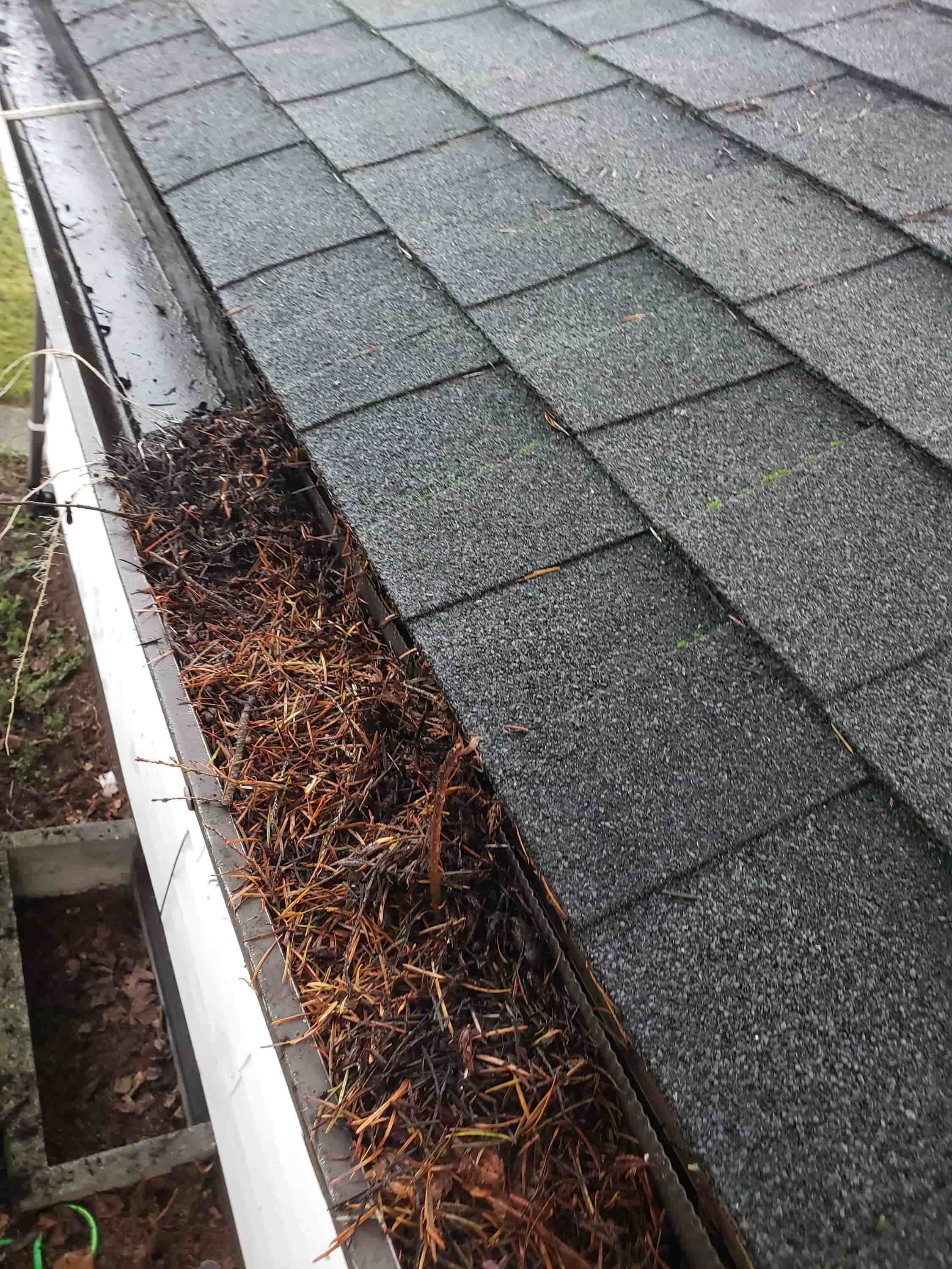 fast gutter cleaning