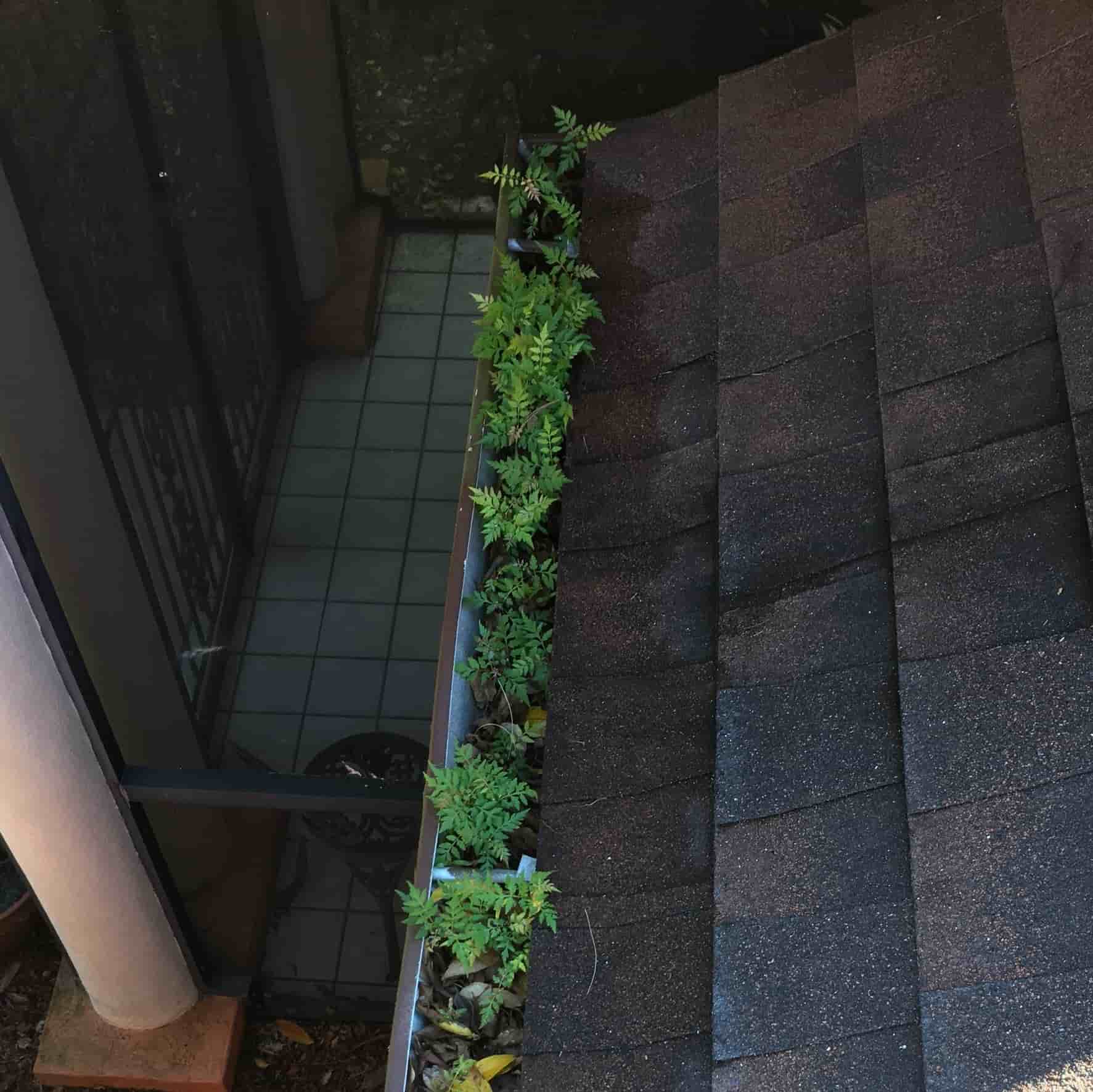 why clean your gutters