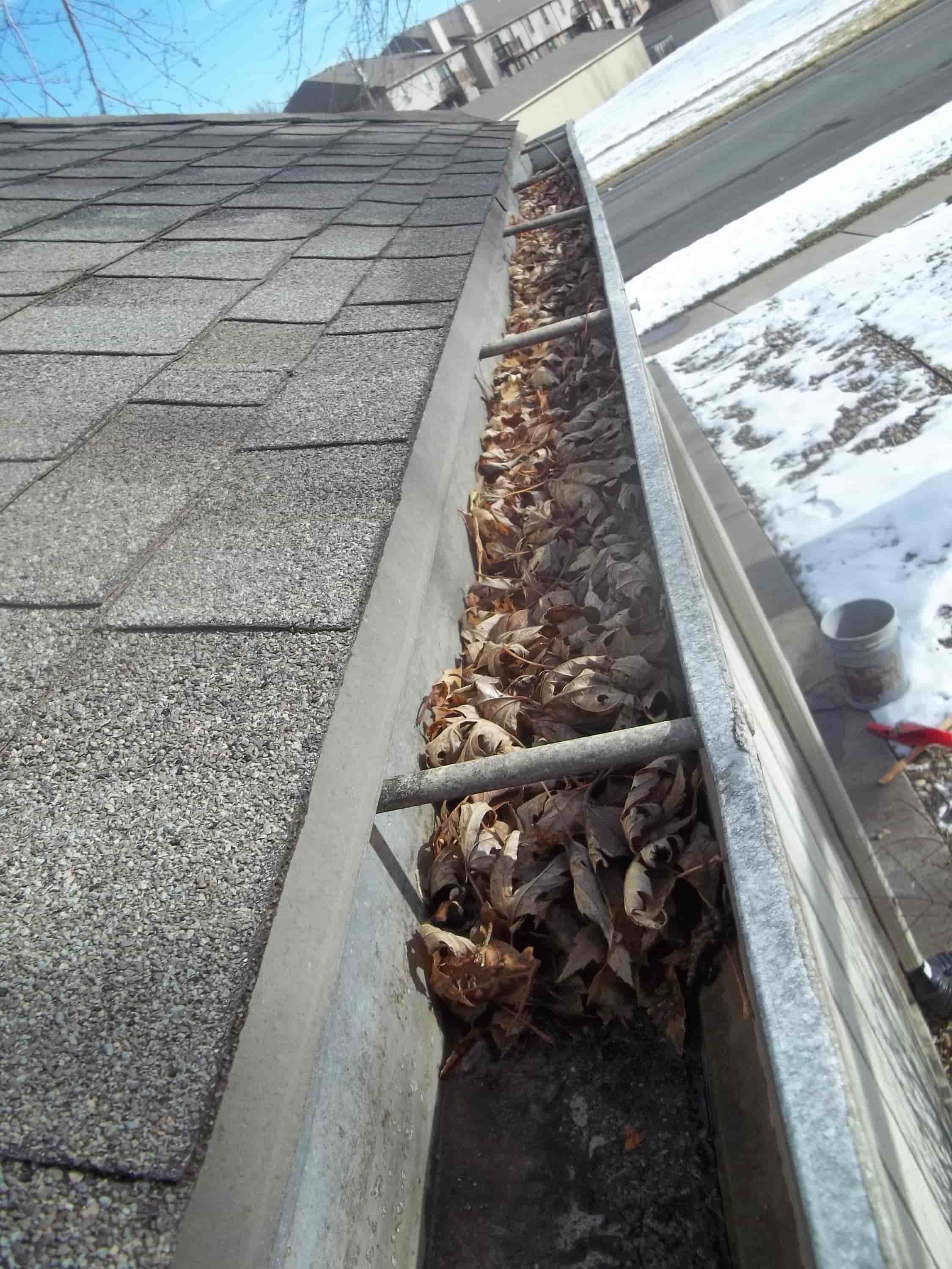 cleaning gutters from the ground 