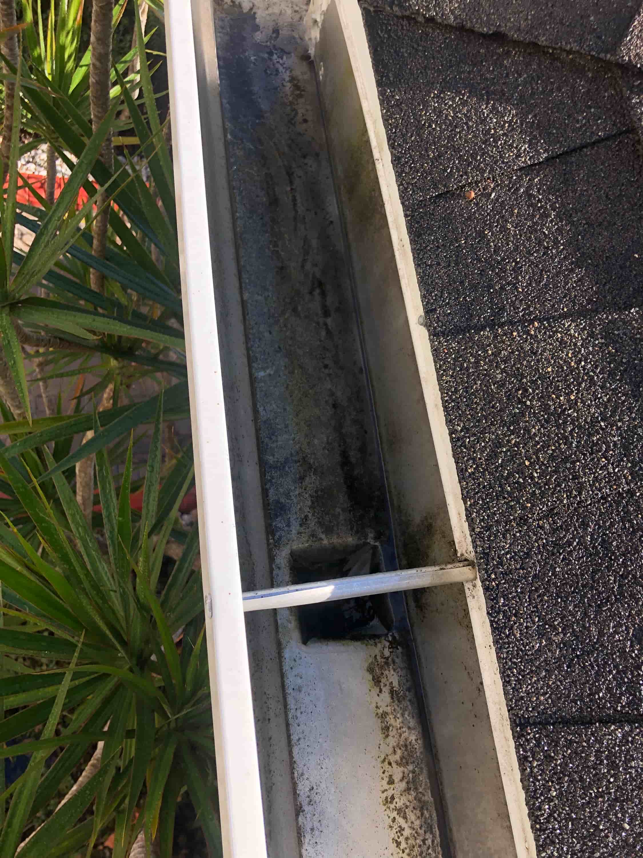 gutter drain pipe cleaning