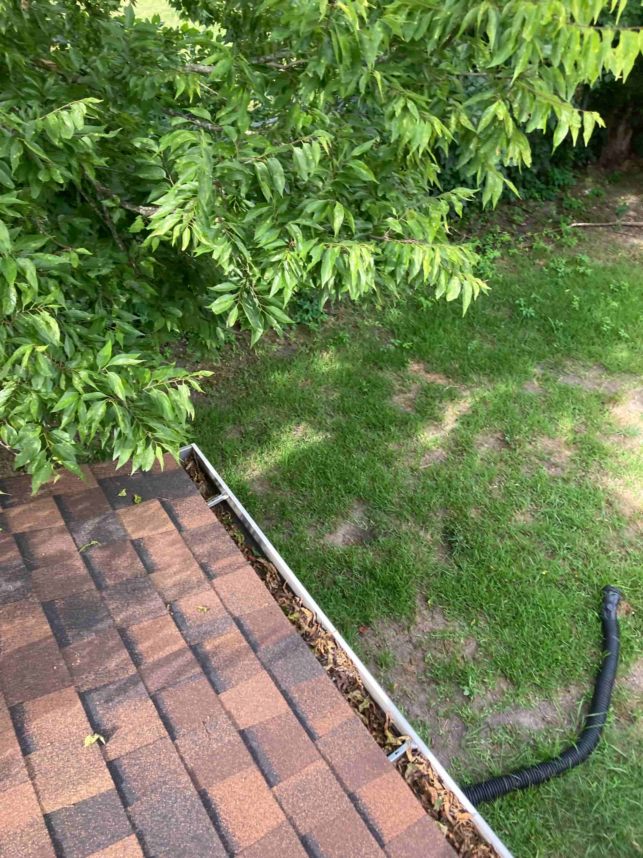 gutter cleaning when