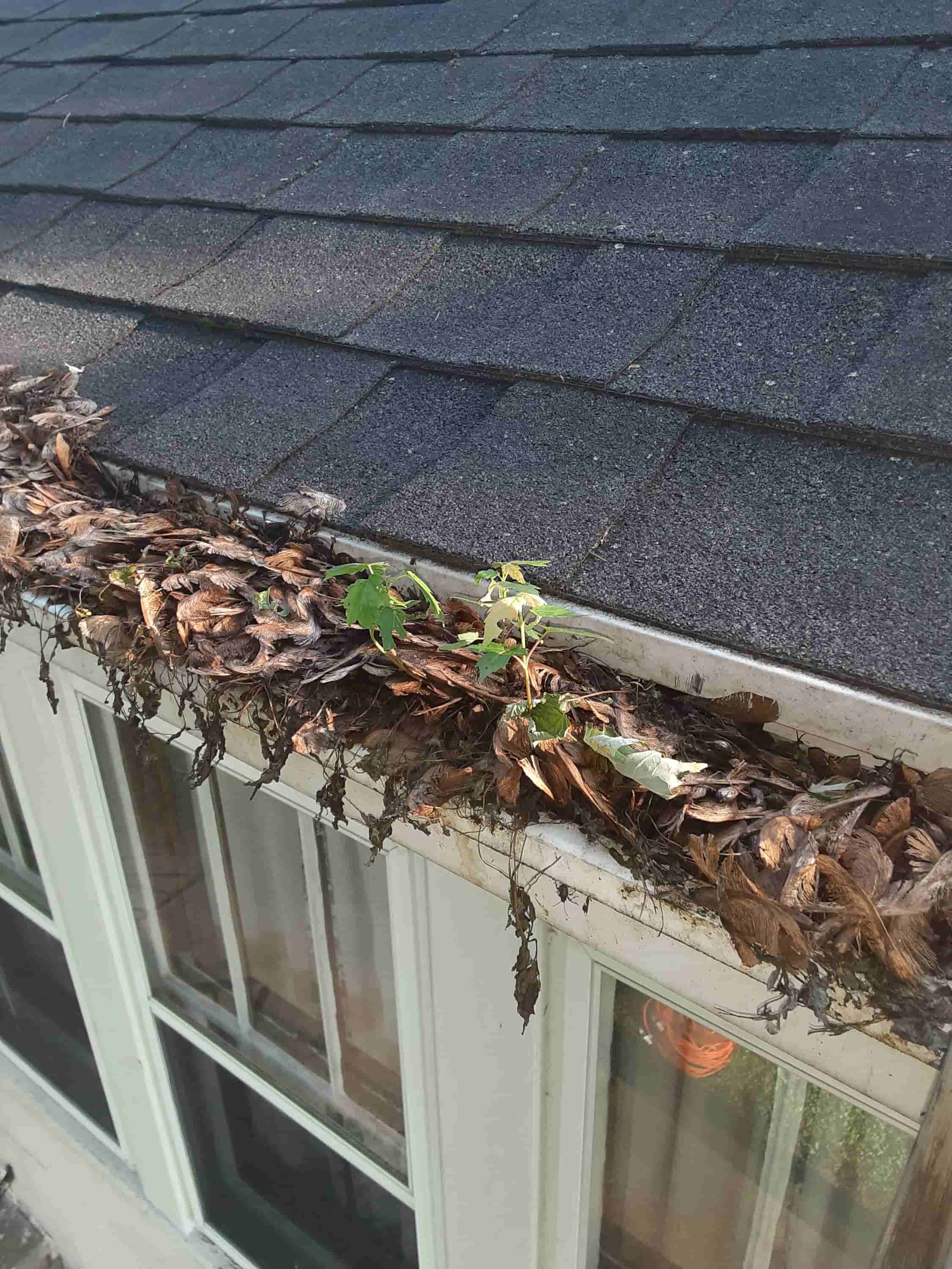 best way to clean clogged downspouts