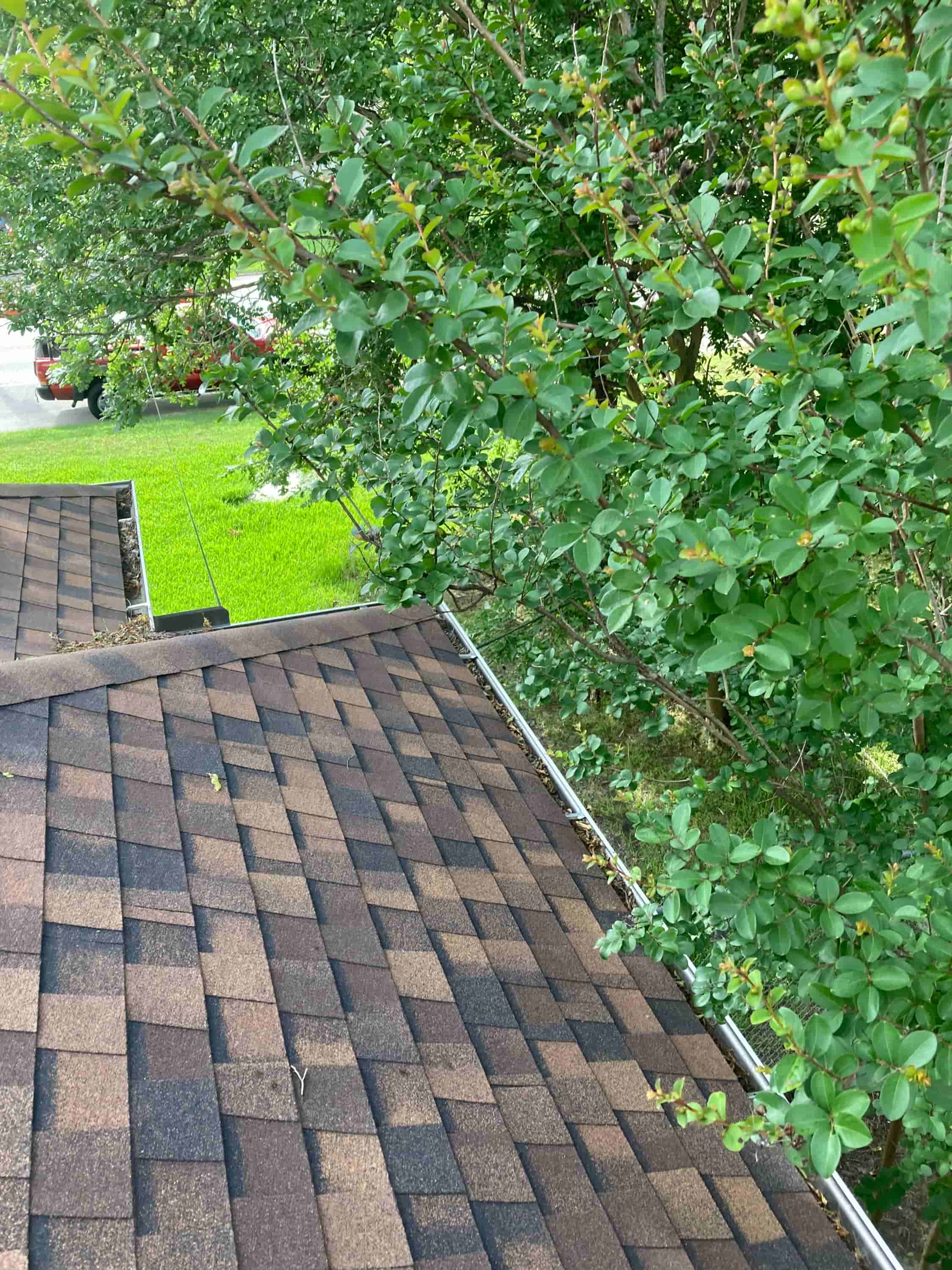 roof and gutter cleaning cost